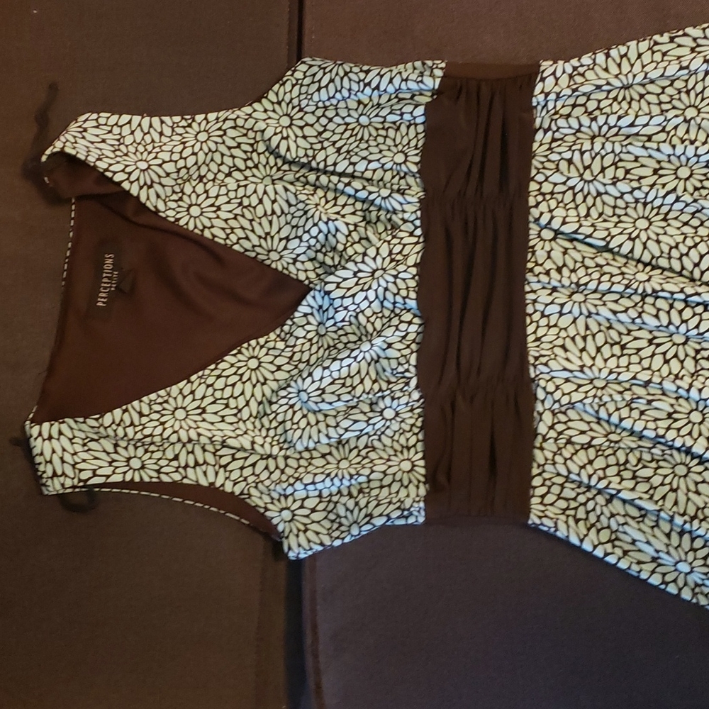 Blue and brown dress